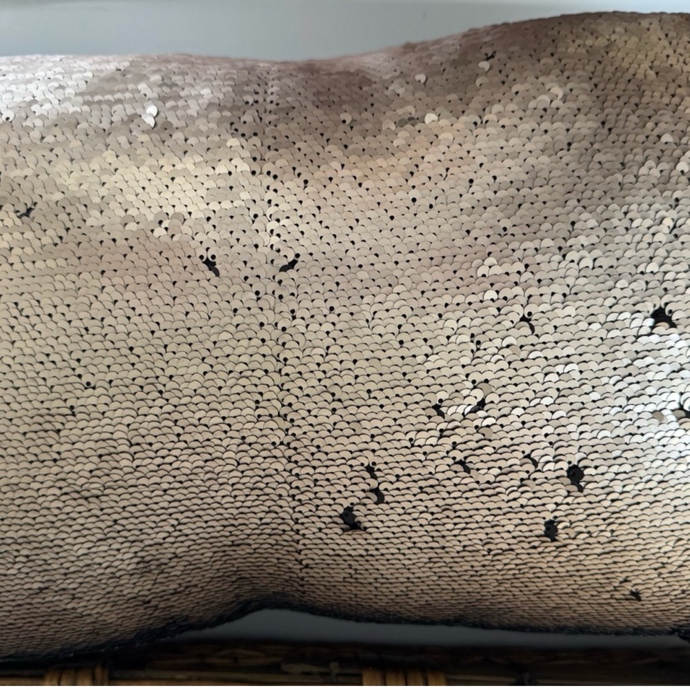 Aviva Stanoff SET of pillow reversible sequins. Brush the sequins. - Picture 3 of 6